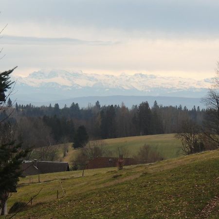 Dachsberg im Schwarzwald Haus Ingeborg 아파트 외부 사진