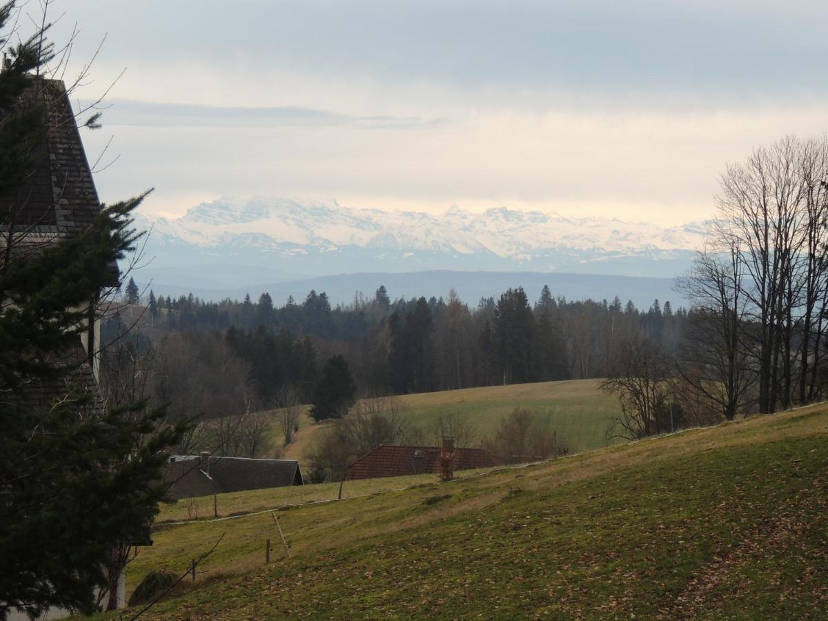 Dachsberg im Schwarzwald Haus Ingeborg 아파트 외부 사진