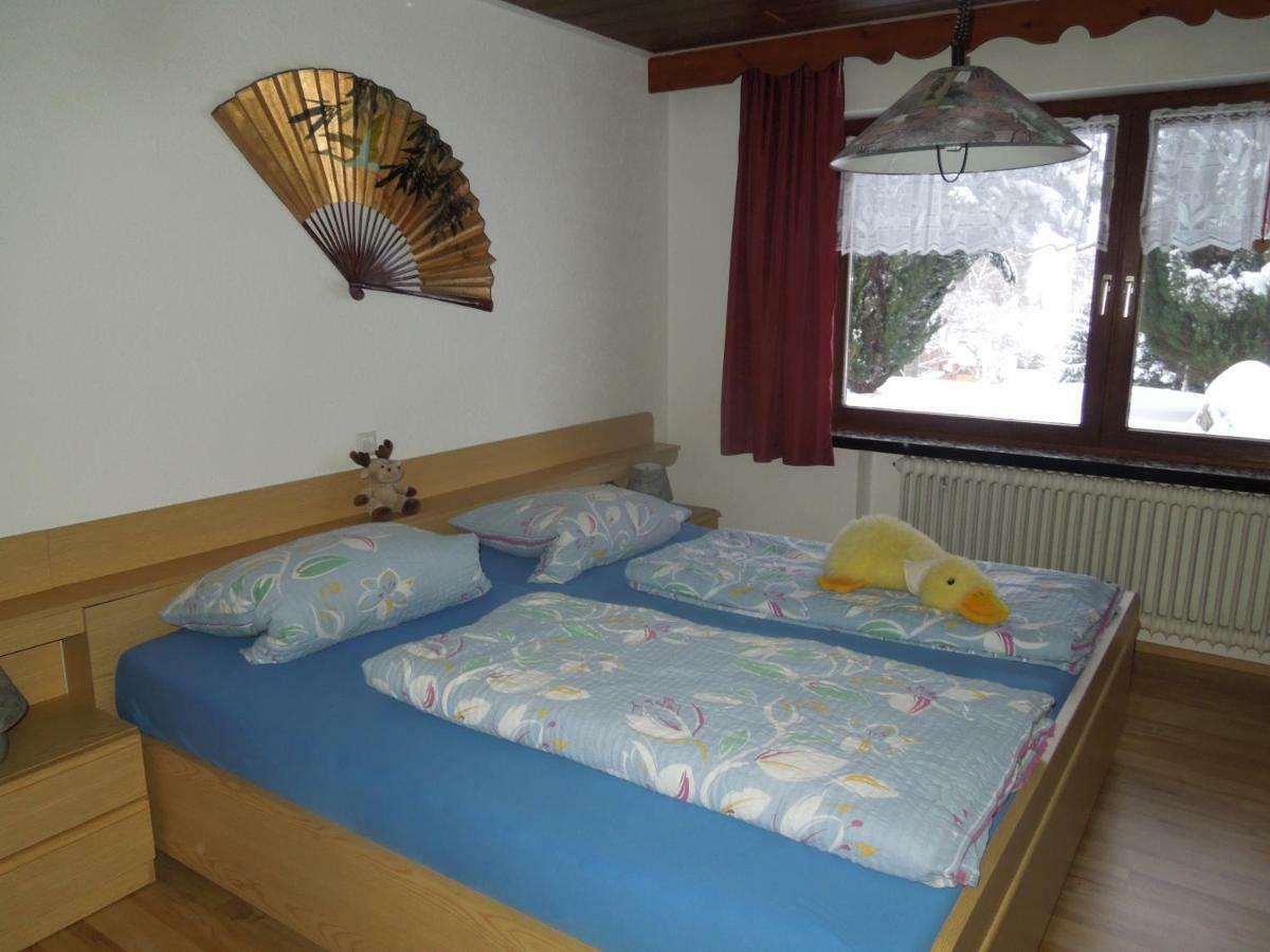 Dachsberg im Schwarzwald Haus Ingeborg 아파트 외부 사진