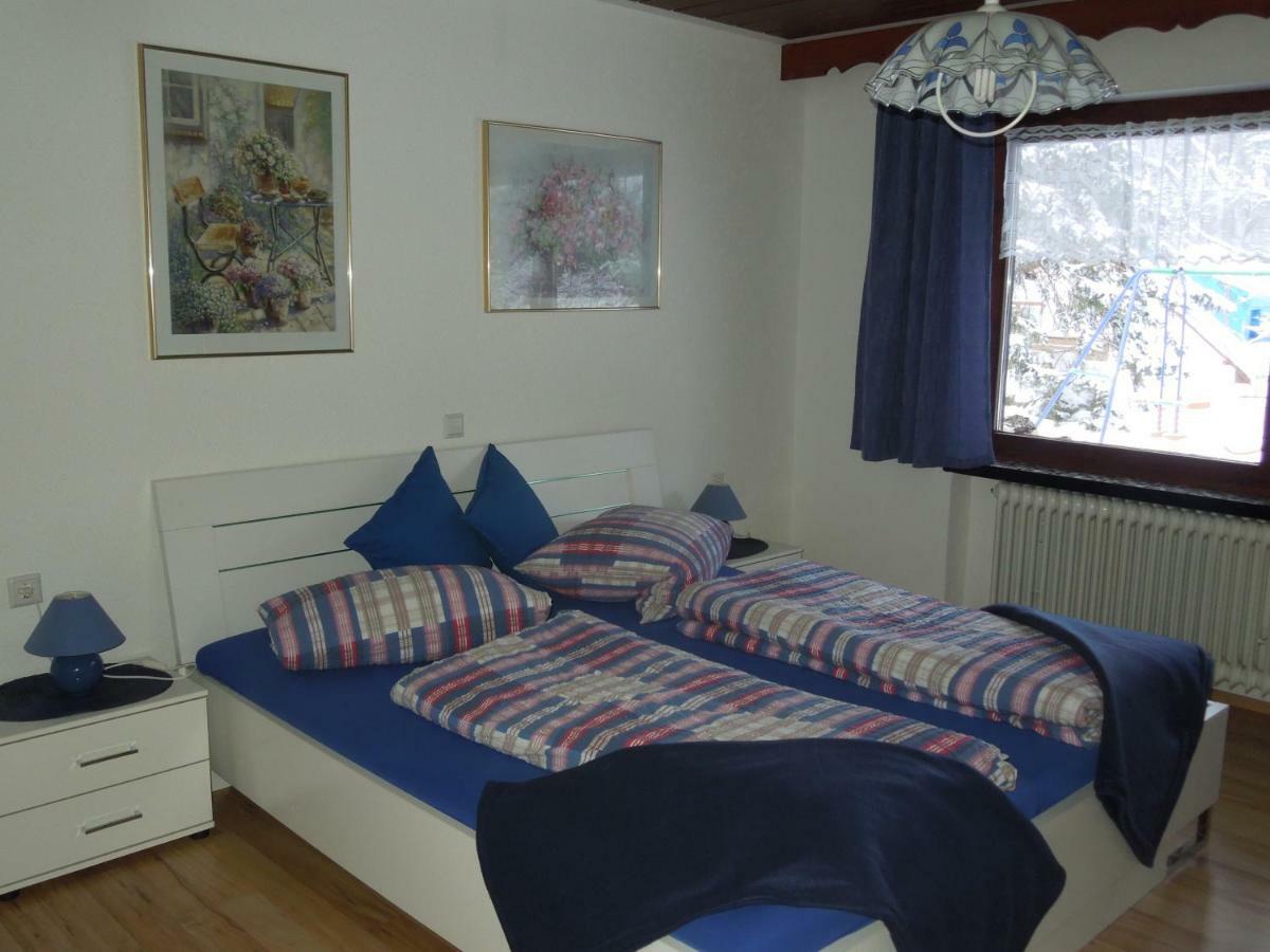 Dachsberg im Schwarzwald Haus Ingeborg 아파트 외부 사진